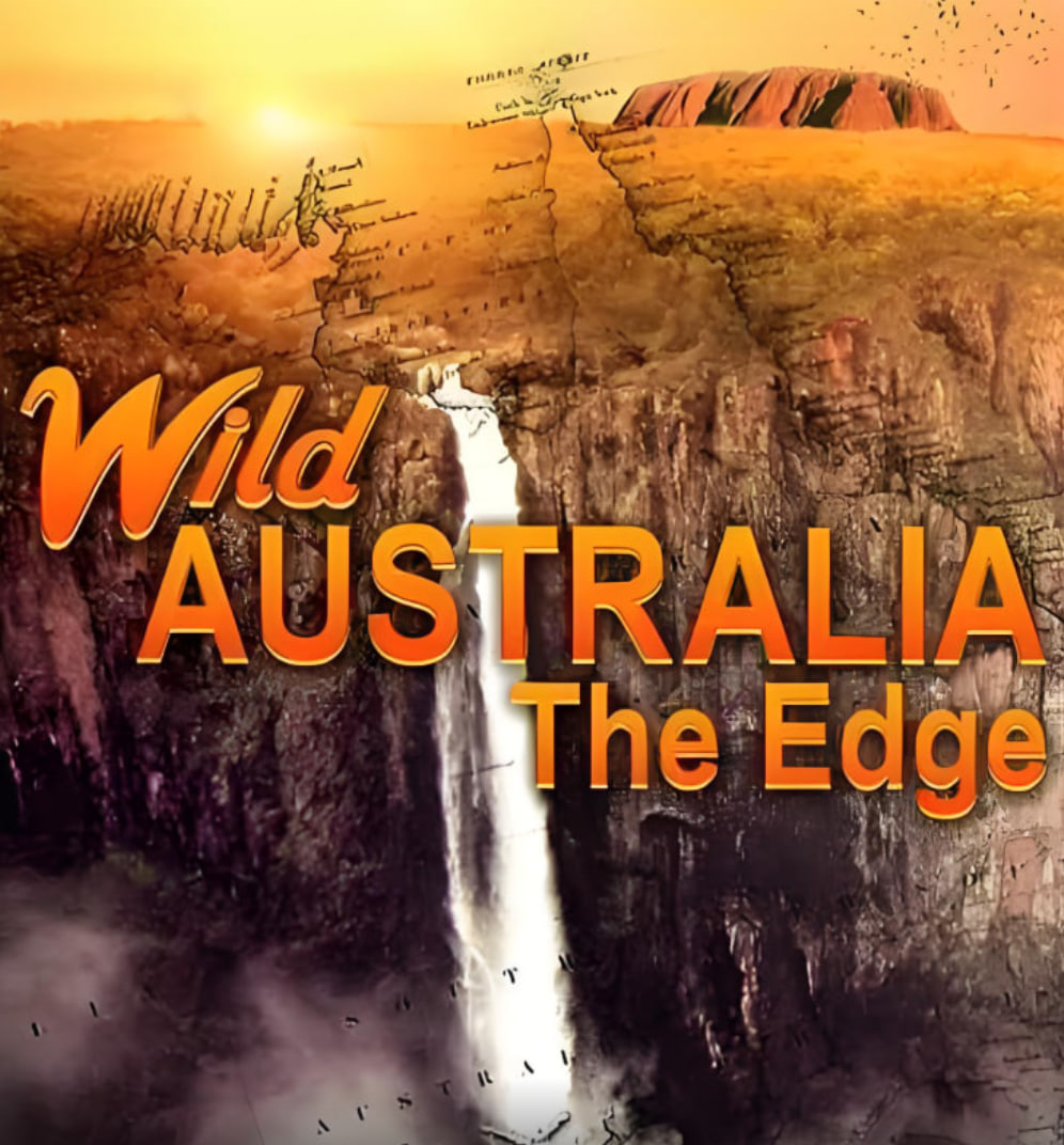 长津湖战役电影